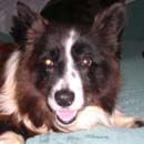 Rubie was adopted in August, 2006